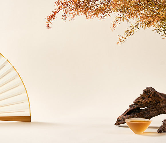 How to Best Steep Aged White Tea?