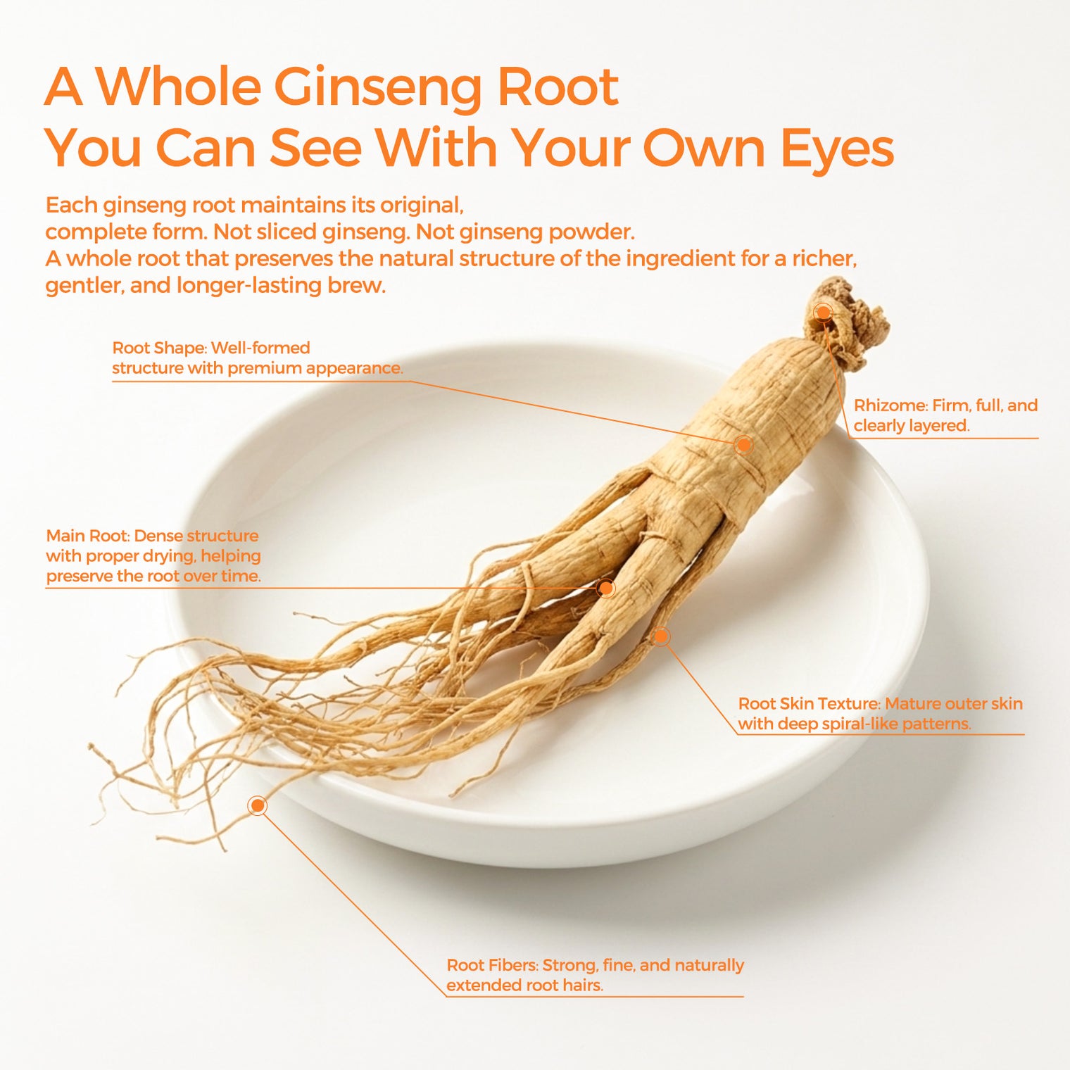 TeaVerse：10x More Energizing Than Slices & Powder
