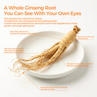 TeaVerse：10x More Energizing Than Slices & Powder