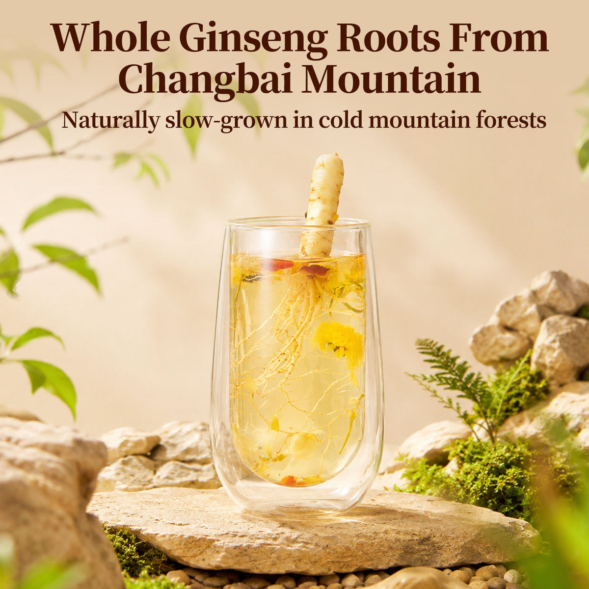 TeaVerse：10x More Energizing Than Slices & Powder