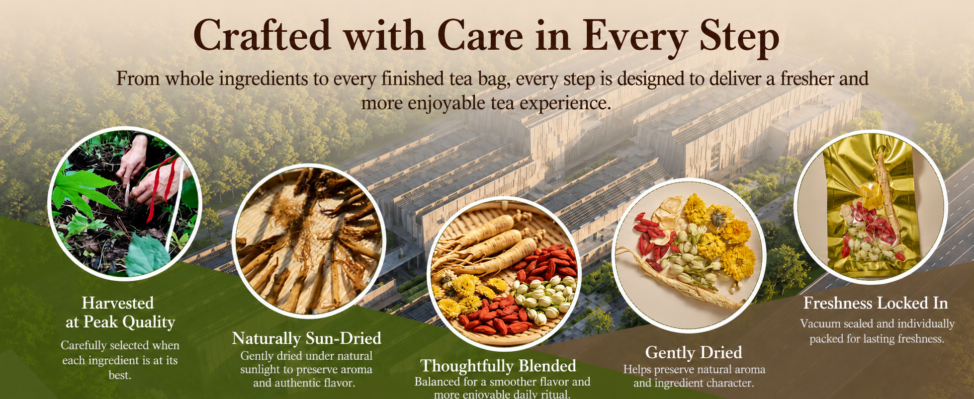 TeaVerse banner image