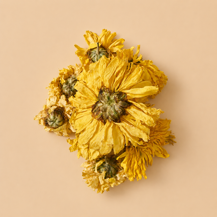 Chrysanthemum