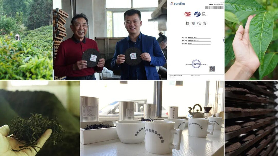 TeaVerse mobile founder story image